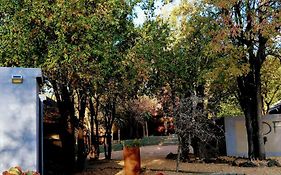 Off Beat Safaris Bush Lodge